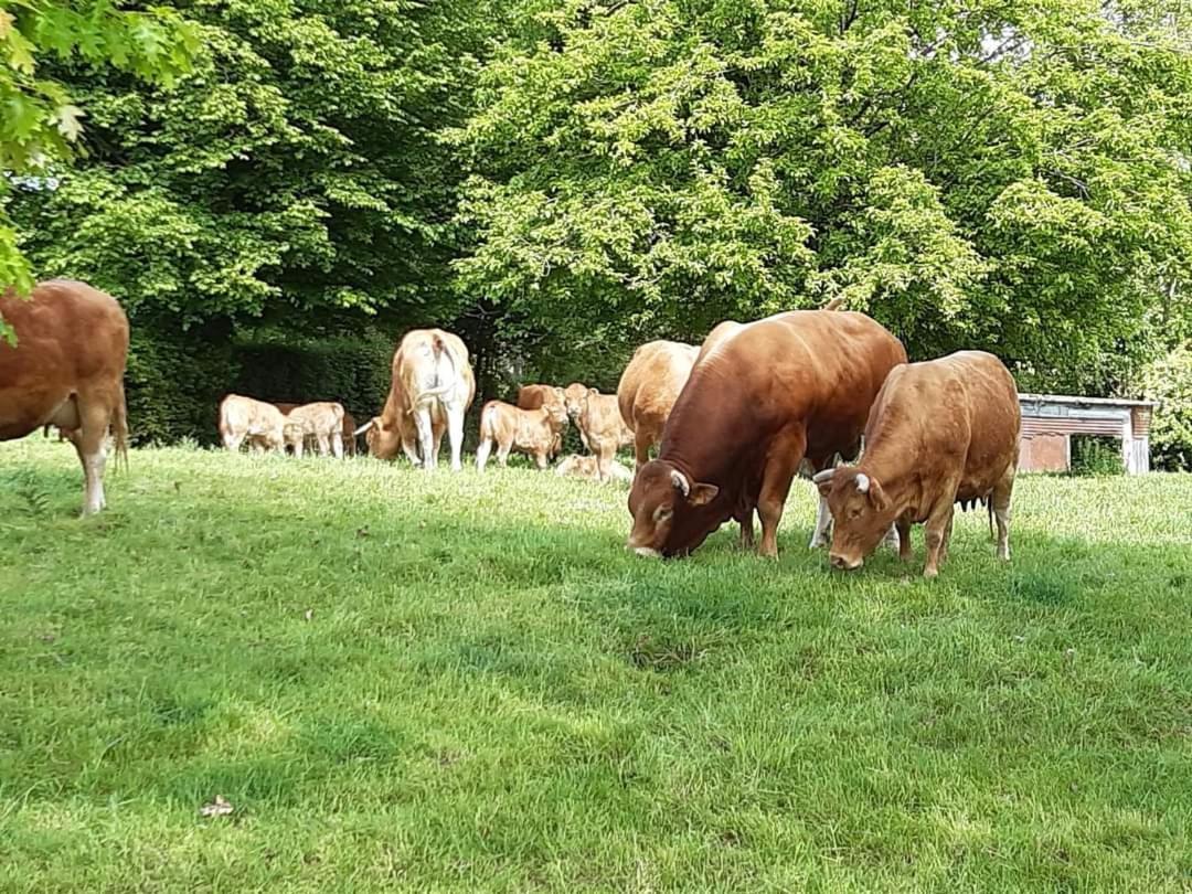 Au Bocage Parfume Gite La Cigaline Wirwignes Exterior foto