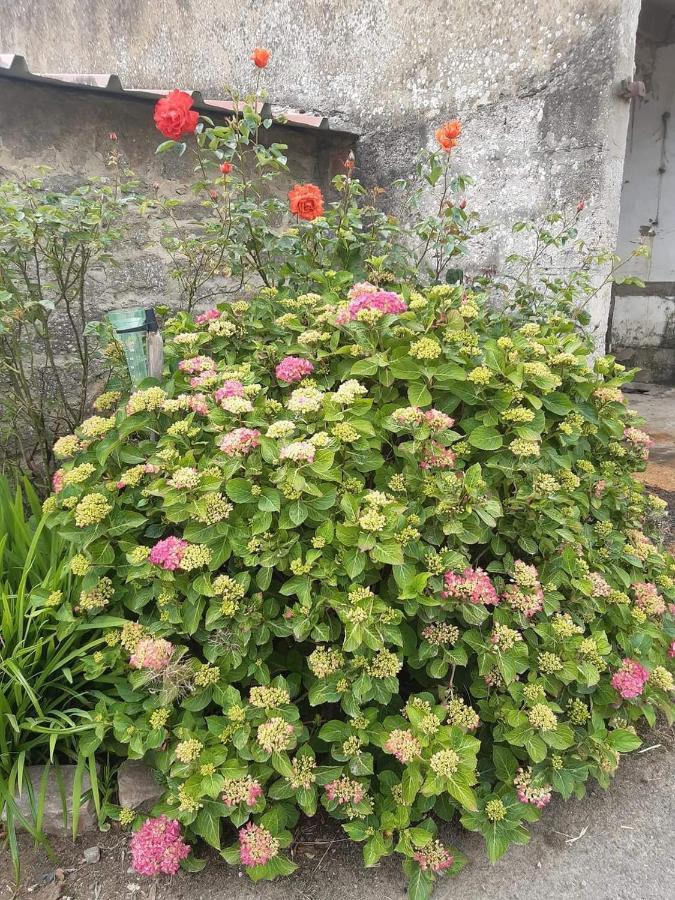 Au Bocage Parfume Gite La Cigaline Wirwignes Exterior foto